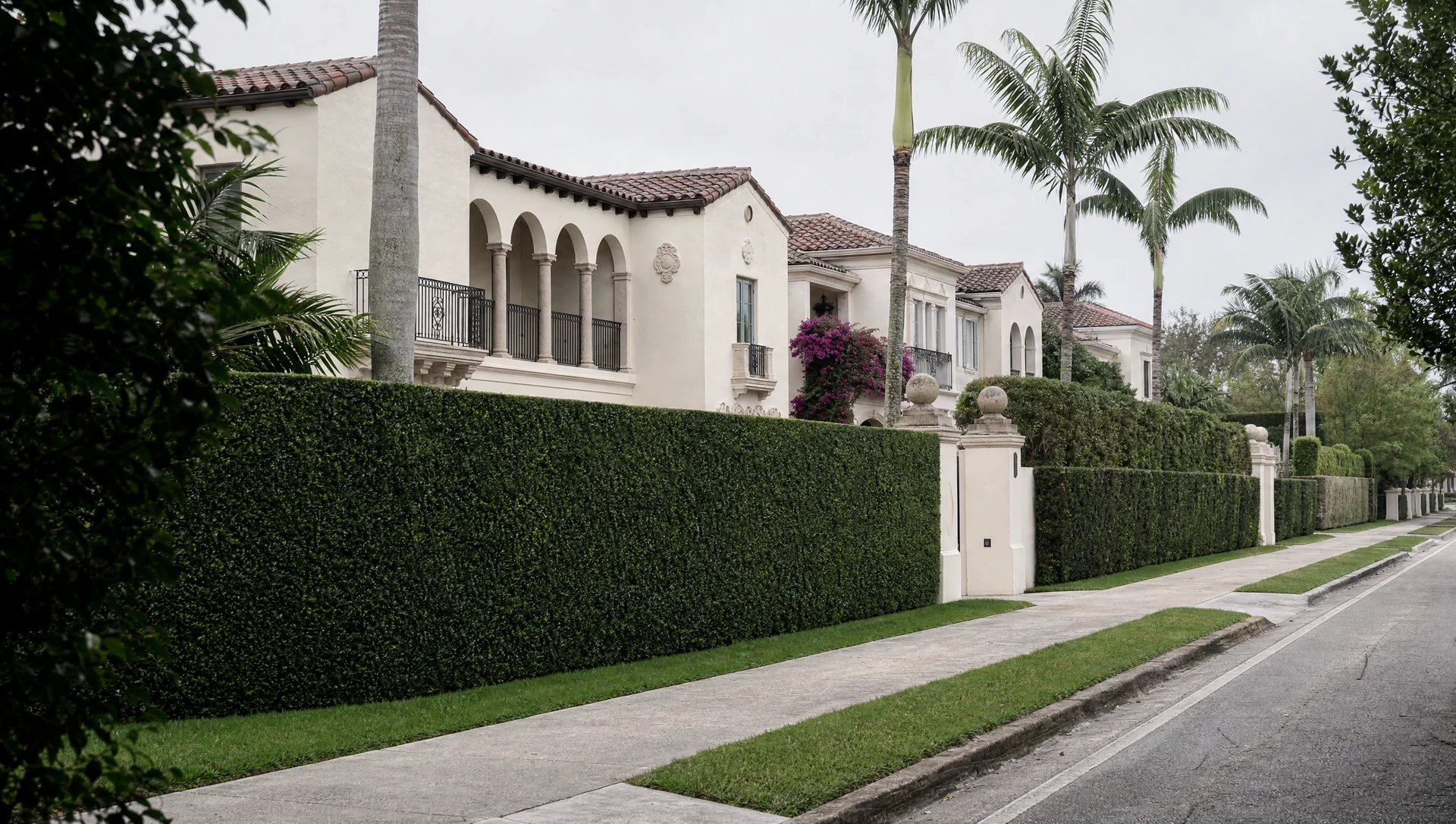 A deep clipped hedge running along an estate street, with Mediterranean Revival houses set back behind it.